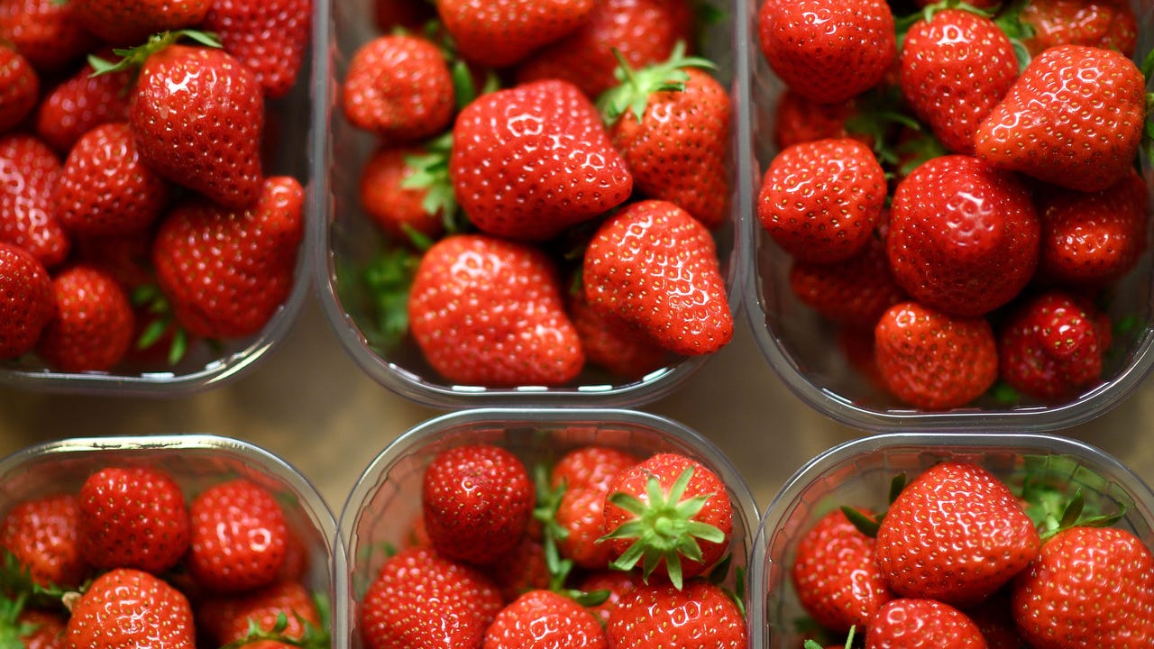 Georgia Grown releases 2025 You-Pick Agritourism map for the state