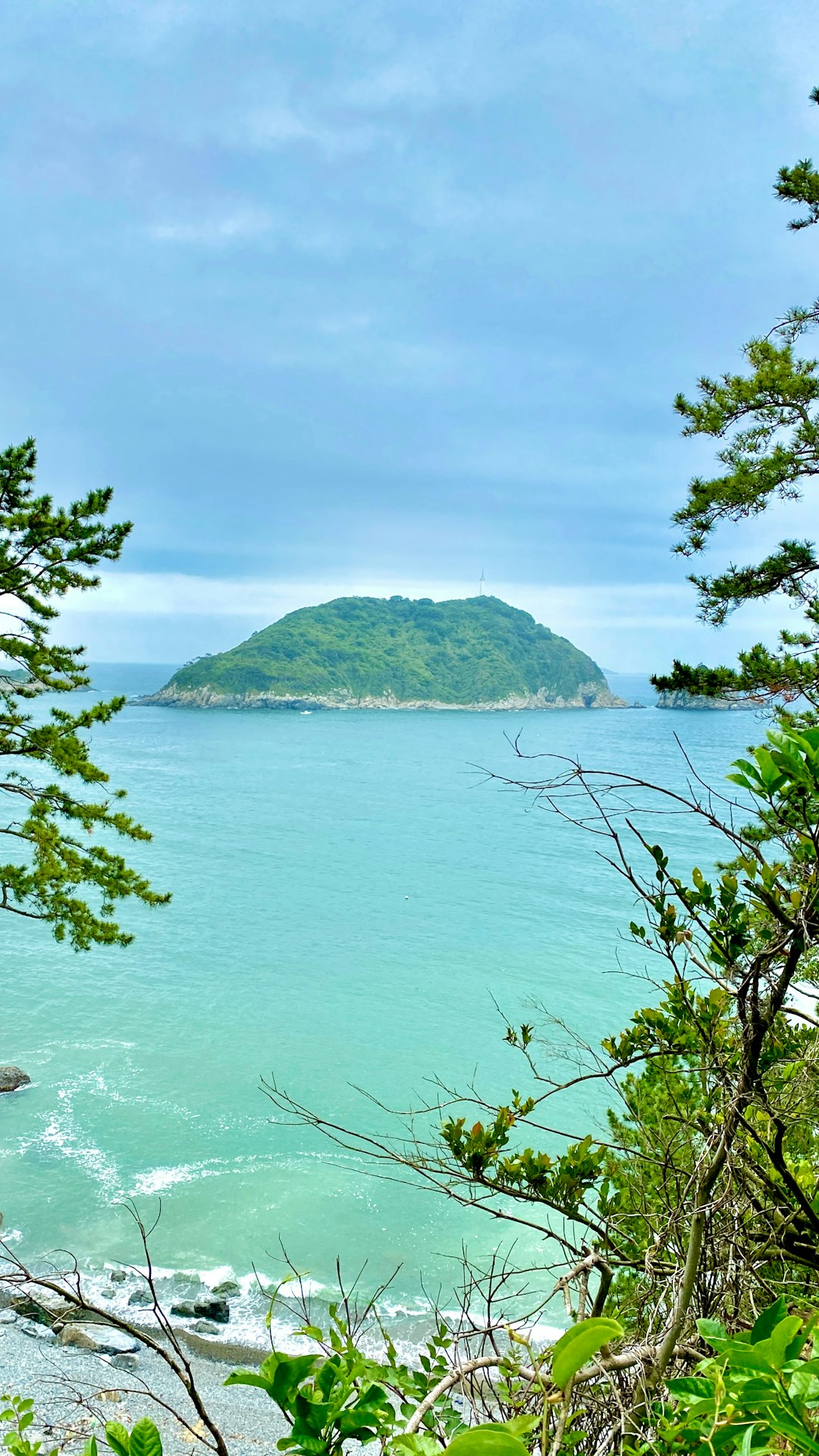 Squishing a cockroach can be bad for your health