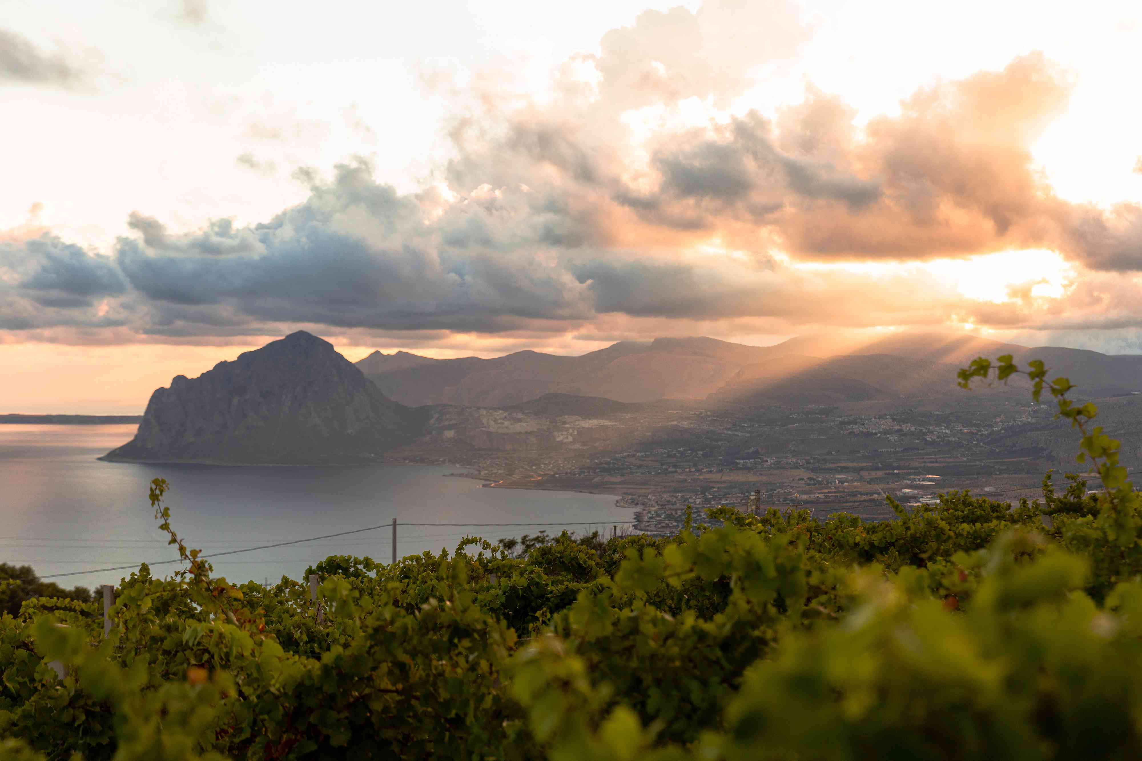 9 Wineries to Visit in Sicily and Sardinia for Island Vibes and ...