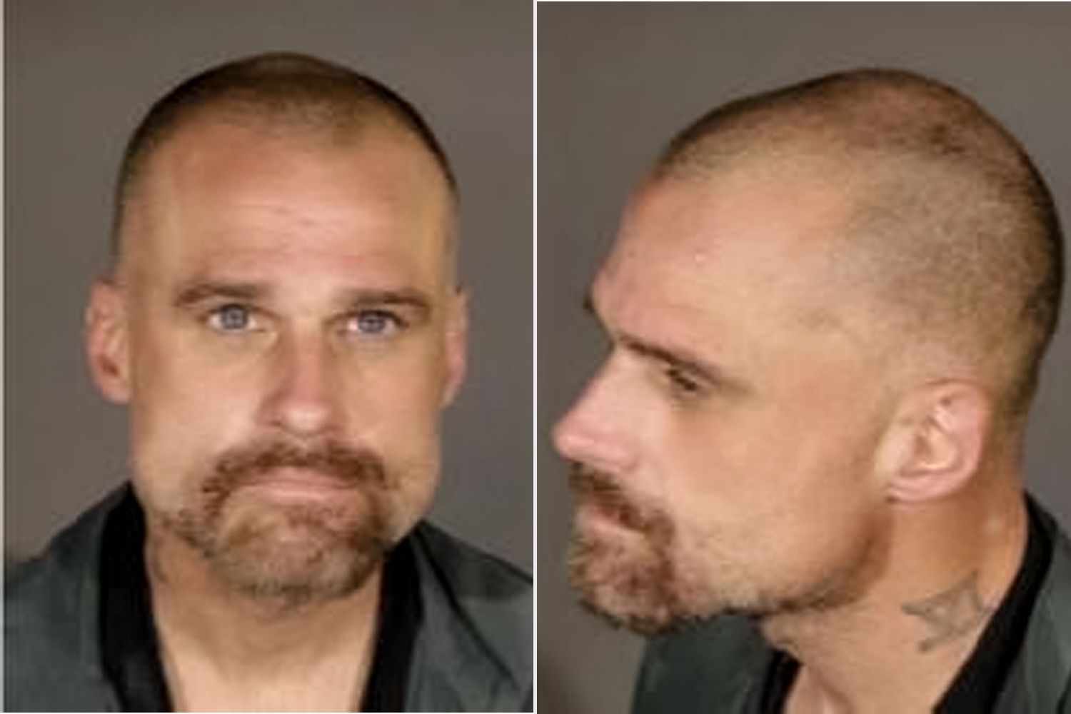 Man Accused of Going on TreeKilling Spree with Chainsaw Arrested