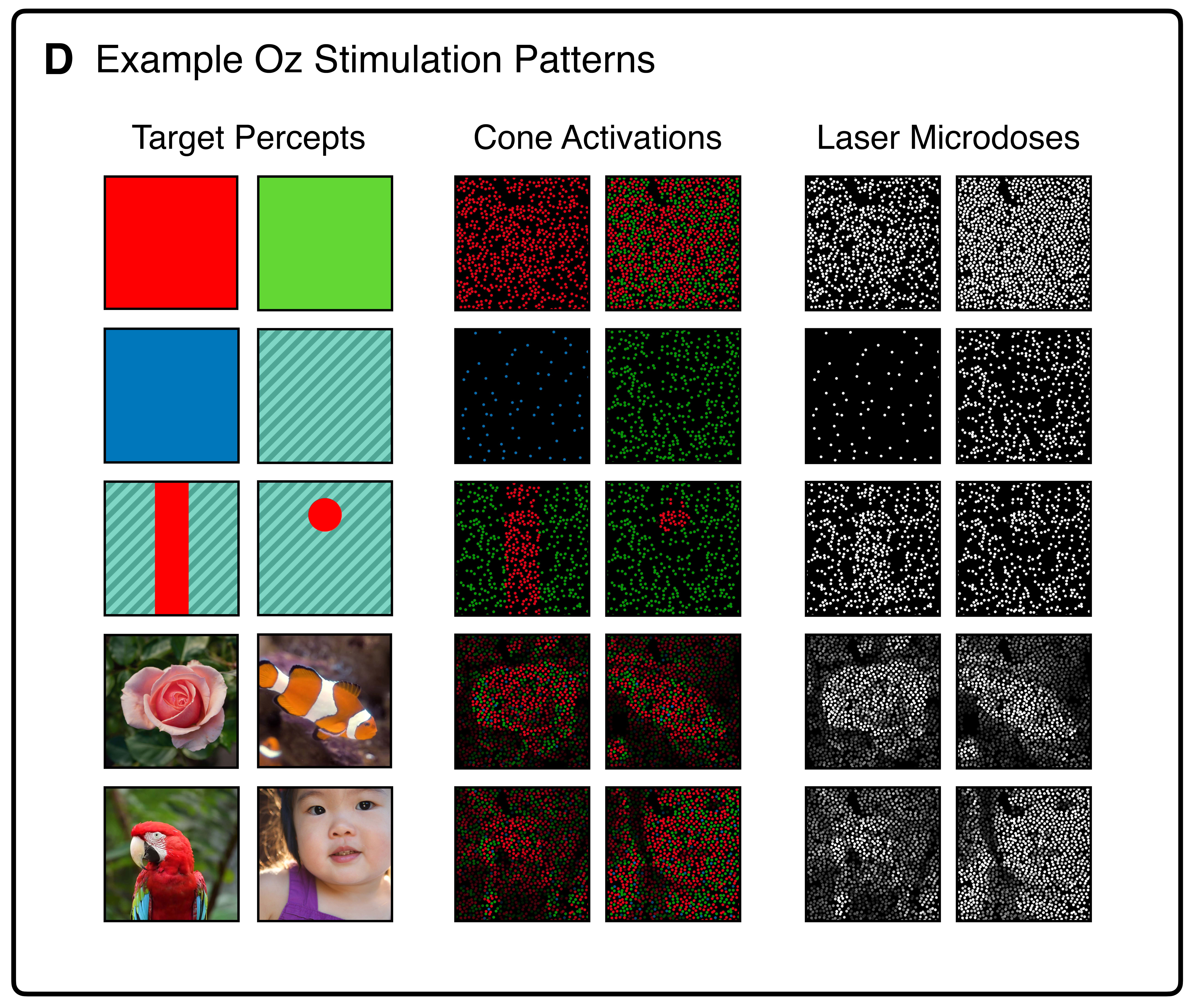 Scientists Discover ‘Impossible’ New Color By Bending Rules of Vision