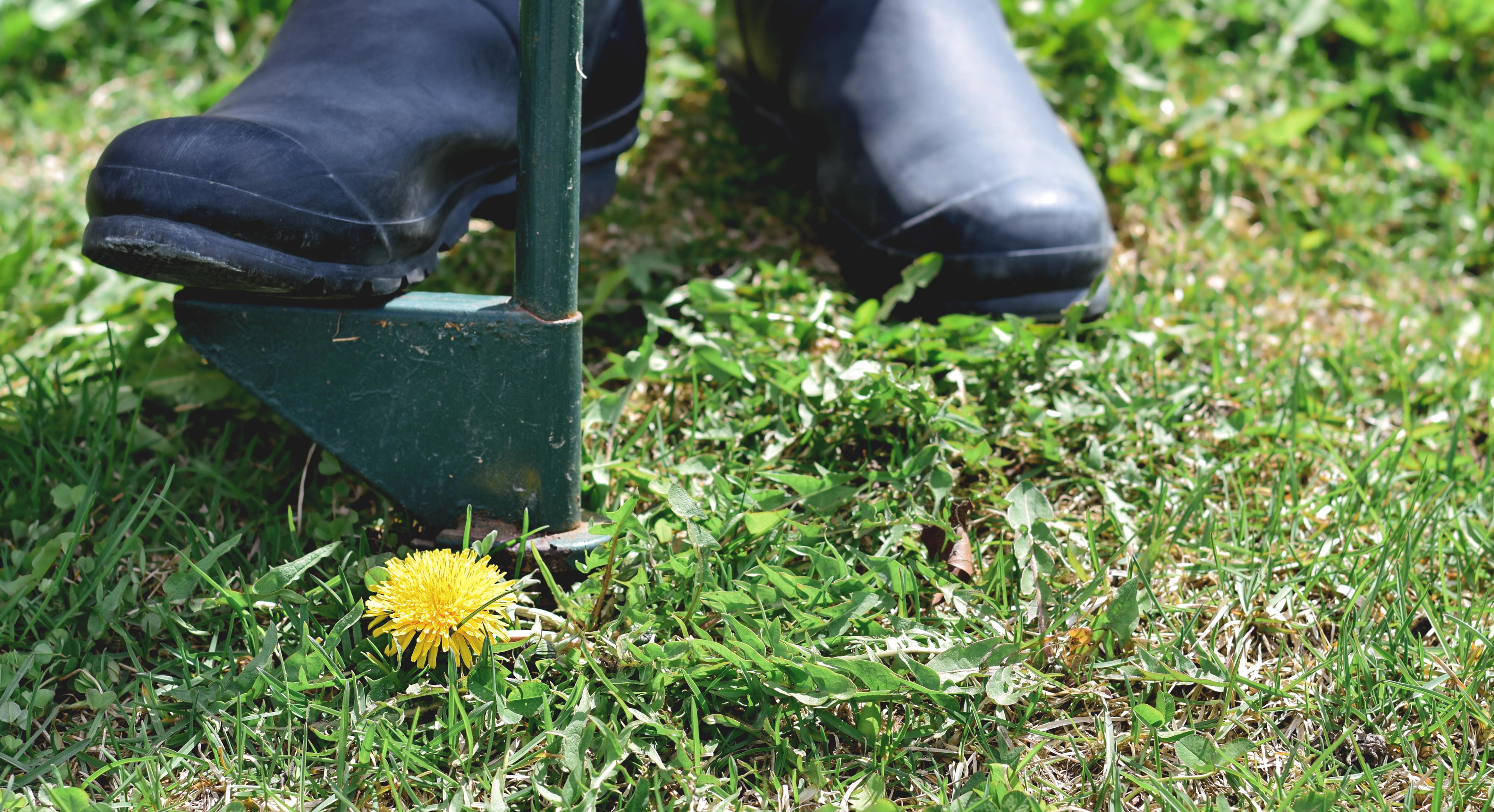 Simple fitness habits to keep you feeling youthful<br><br>