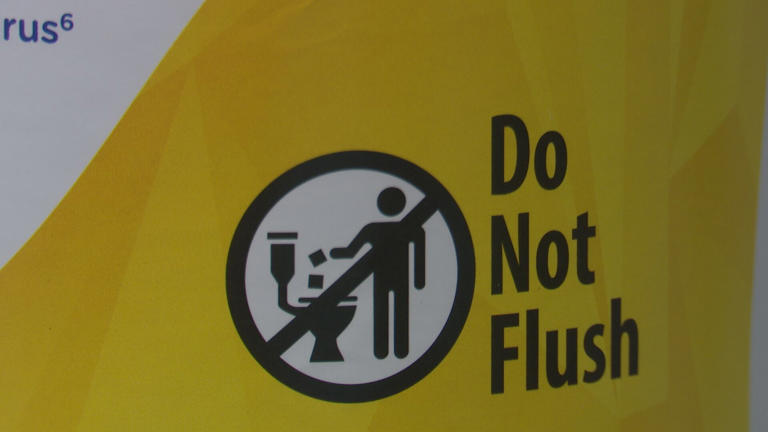 Image showcasing Can I Flush Toilet Paper Down The Toilet - Instagram