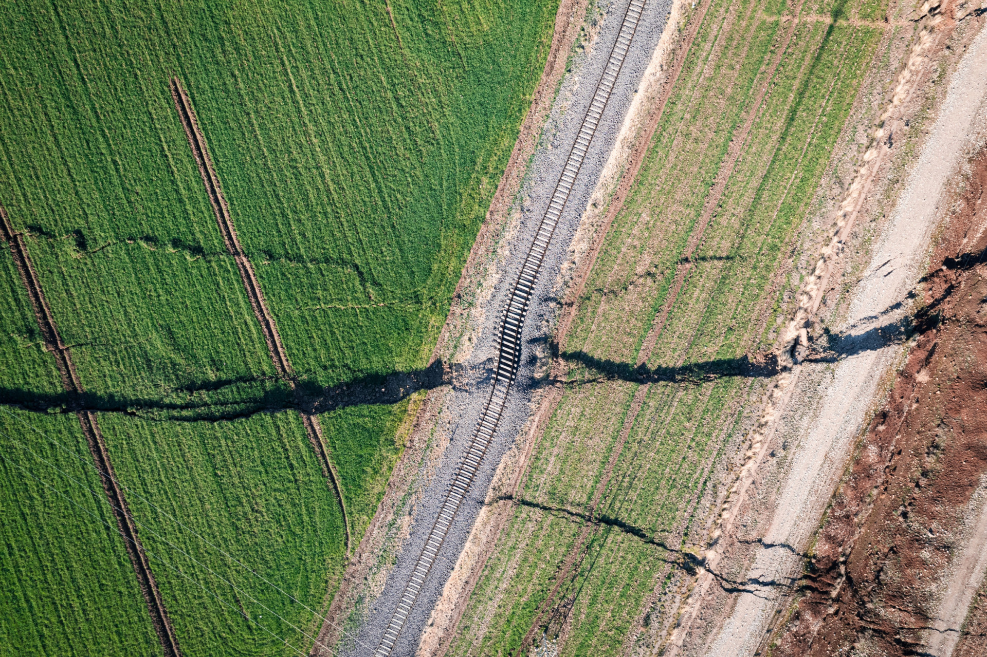 Subtiele verschillen waargenomen