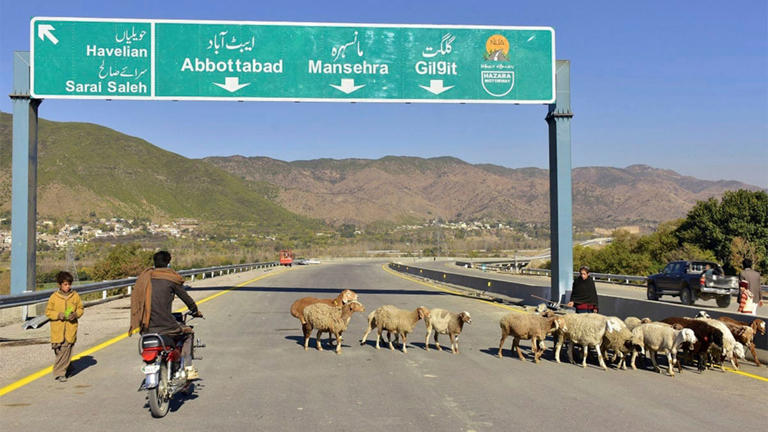 (File) A motorcyclist drives past sheep on a newly built road in Haripur, Pakistan. China launched the Belt and Road Initiative in 2013 to expand its trade and influence by building roads, ports and other infrastructure overseas. AP