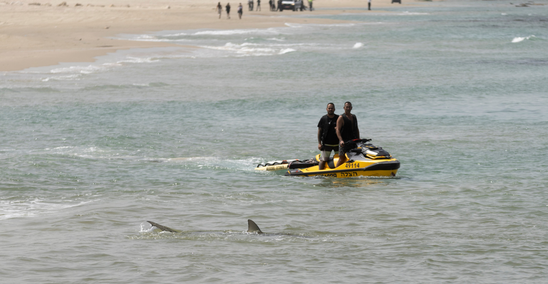 Swimmer killed in rare shark attack off Israel’s coast(02)