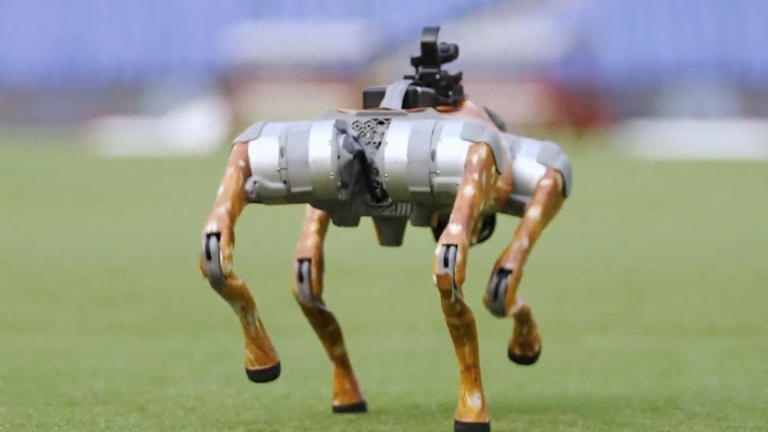 IPL's robotic dog: Everything you need to know about the latest BCCI ...