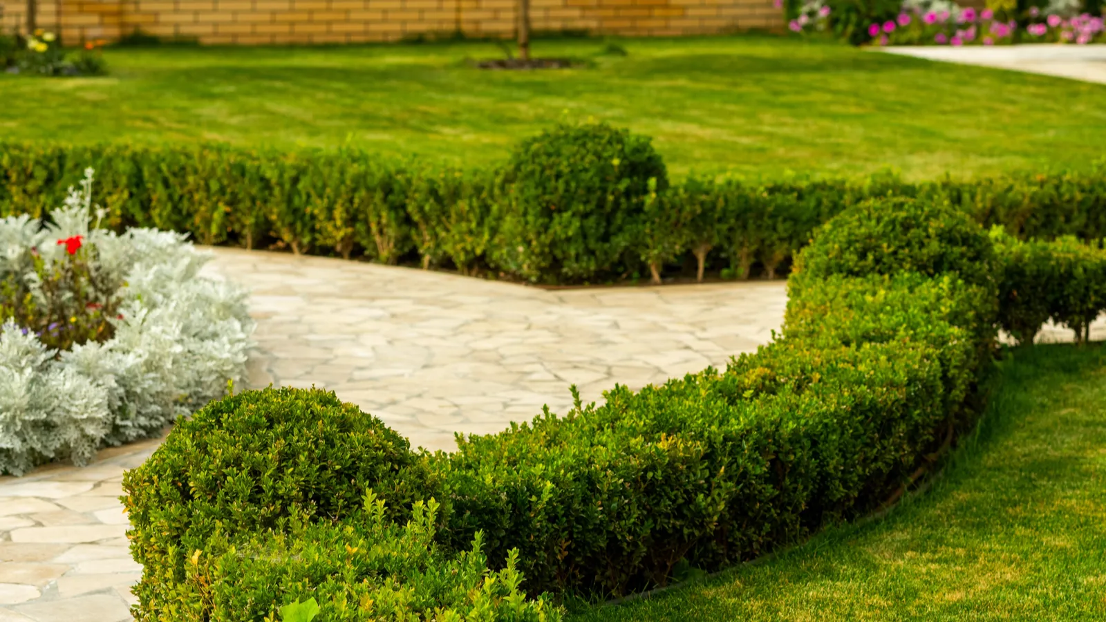 Hidden lawn dangers every homeowner needs to watch for