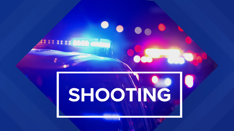 Man killed after firing gun at police officer in Luzerne County