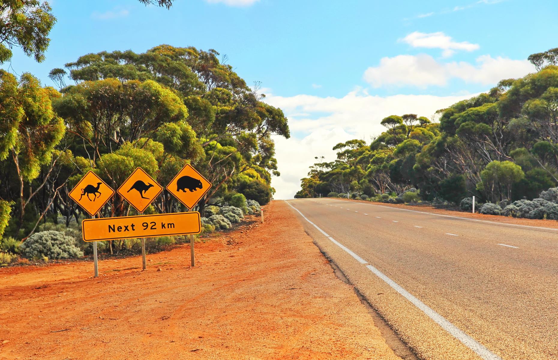 Australia's greatest road trips, ranked