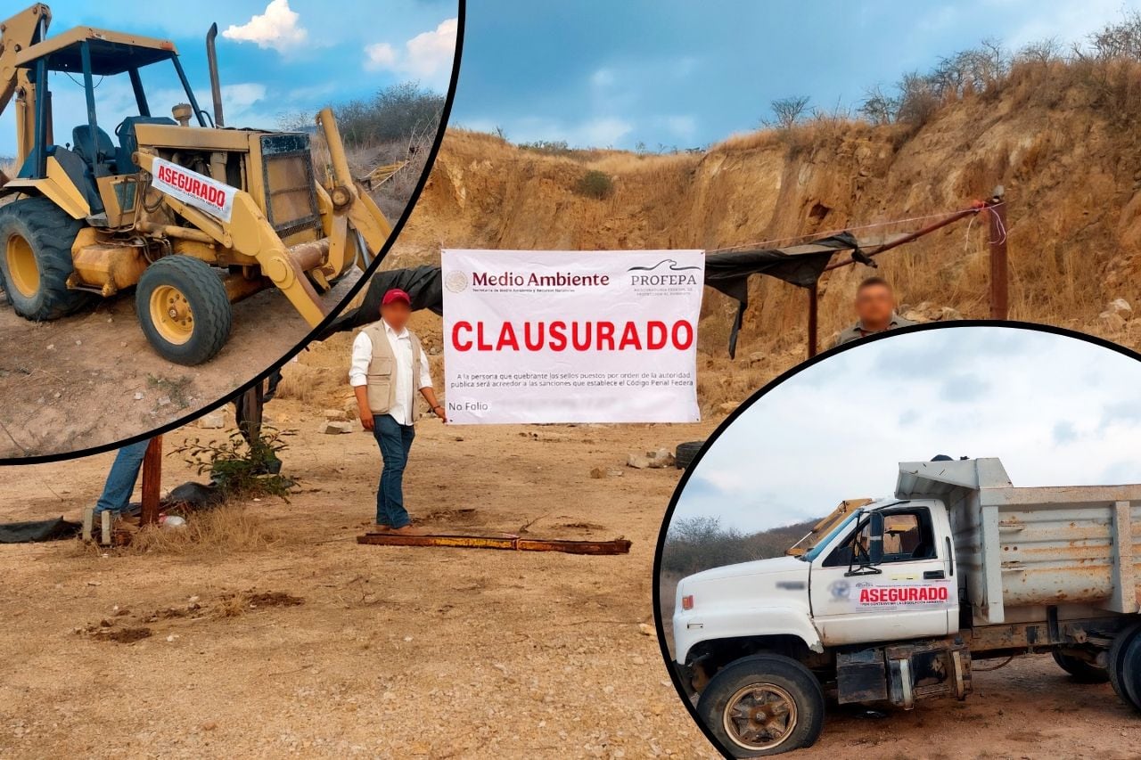 Profepa clausura predio en Chiapas por extracción ilegal de recursos  naturales