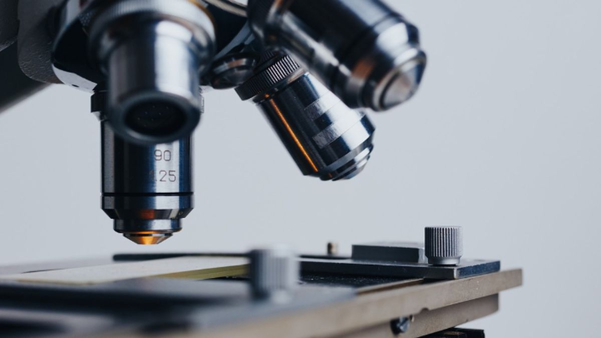 Terapi Sel Punca Ortopedi: Solusi untuk Regenerasi Jaringan Tulang dan Sendi pada Pasien HIV dan Kanker