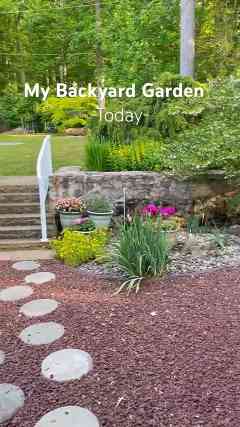 Wait Until You See What’S Blooming In My Backyard Garden Today!