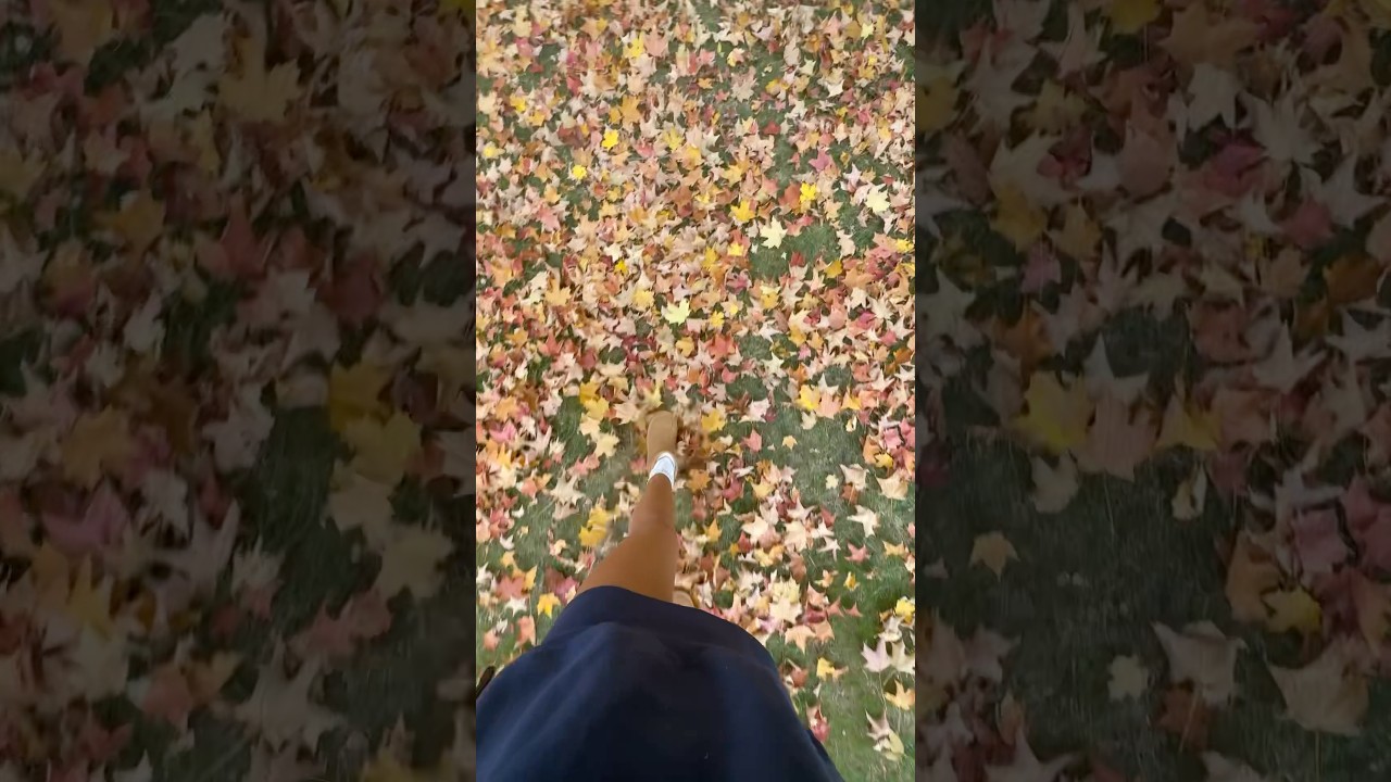 the BEST part about OCTOBER in OHIO… 🍂🥴🤭 #onlyinohio