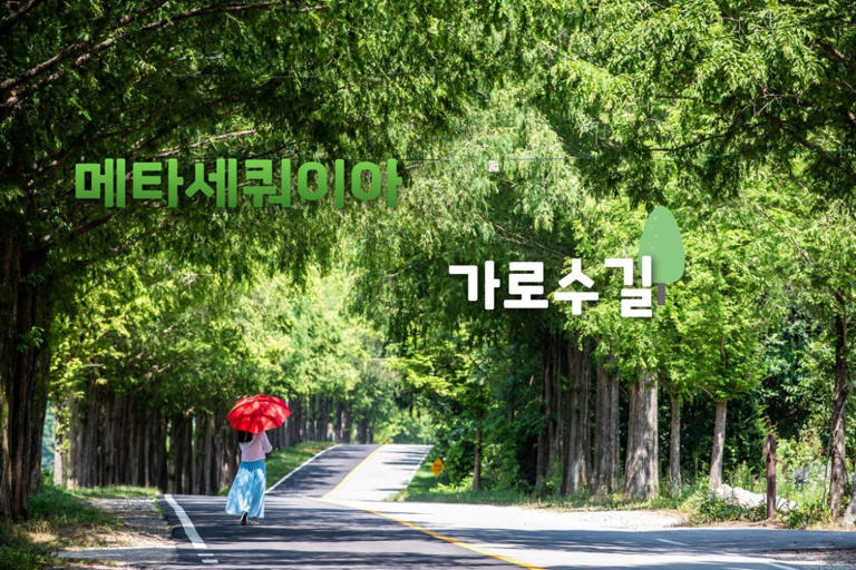 김제자원공사 이미지