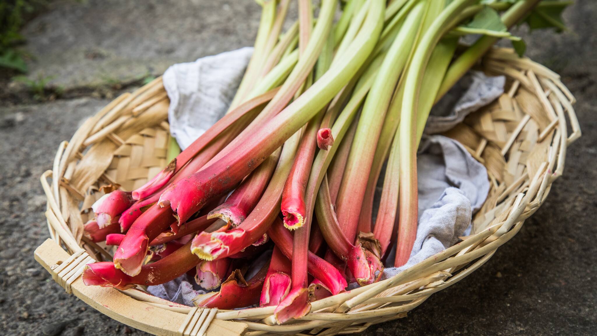 Rhabarber-Kuchen: Einfache und leckere Rezepte mit dem Gemüse der Saison