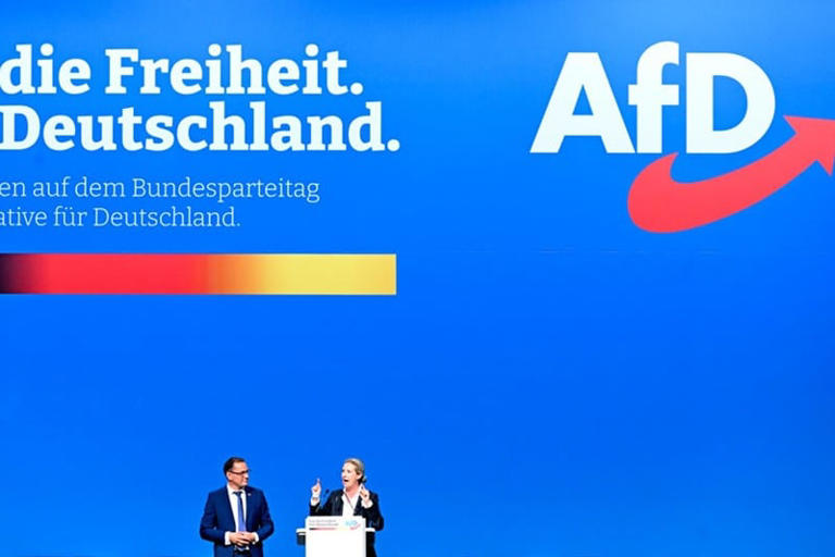 Drapeau AfD (Alternative Für Deutschland) 150x90 Cm – Neuf En Polyester – Marque FlagShipper