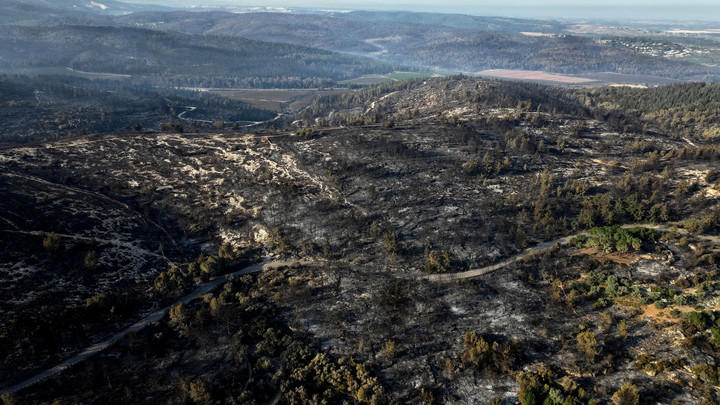 Foto: REUTERS/Ilan Rosenberg