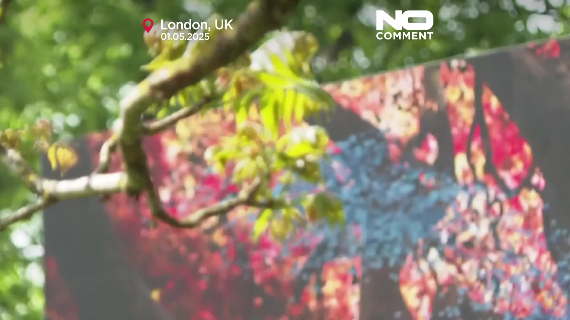 kew-gardens-historic-oak-reimagined-as-digital-artwork