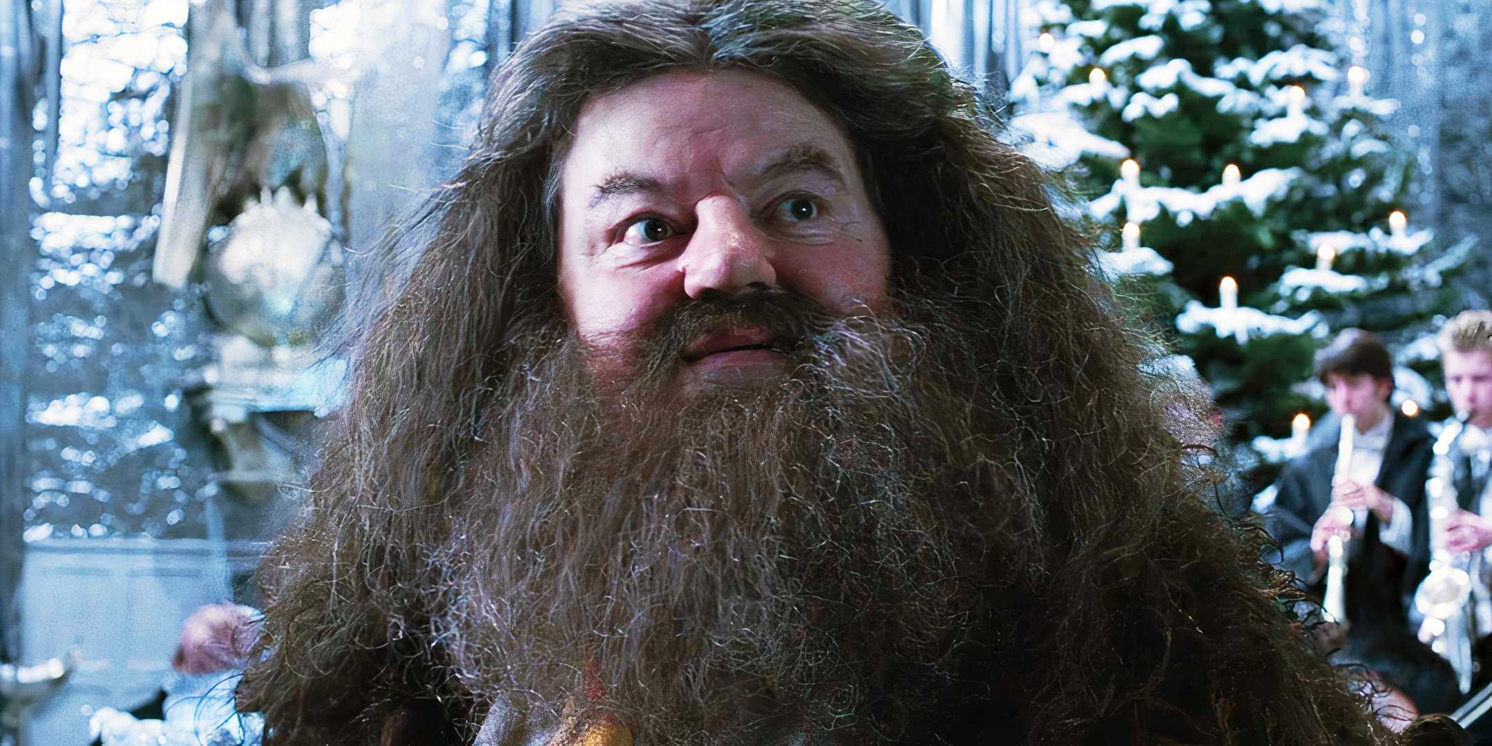 Robbie Coltrane smiling as Hagrid in Harry Potter and the Goblet of Fire