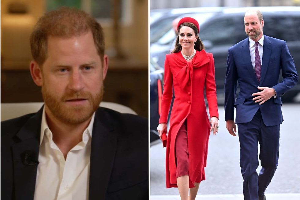 Prince (musician) intelligence overview