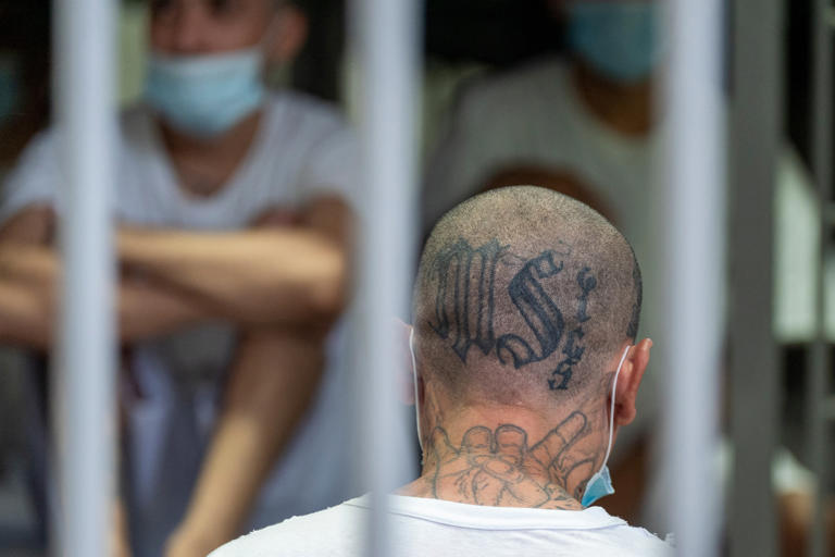  Un preso con tatuajes de la pandilla MS-13 permanece en su celda mientras la secretaria del Departamento de Seguridad Nacional, Kristi Noem, recorre el Centro de Confinamiento de Terroristas (CECOT).