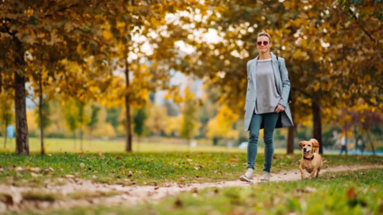 Should You Do Pull ups Every Day? What Are the Benefits and Side Effects? Should You Do Pull ups Every Day? What Are the Benefits and Side Effects?