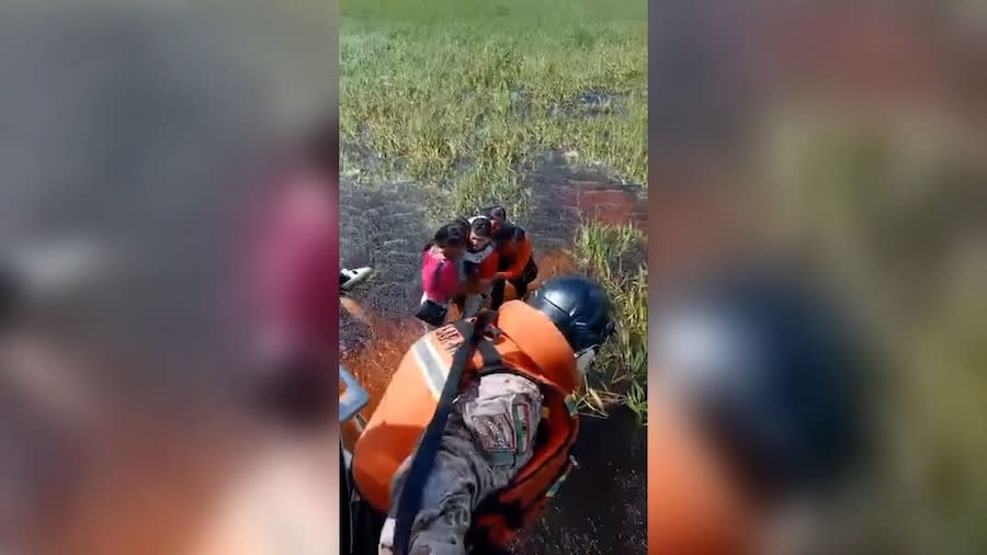 Five people rescued almost two days after plane crashes into alligator