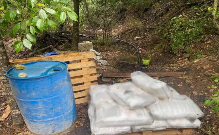 En el narcolaboratorio de Hidalgo fue hallada metanfetamina granulada y metanfetamina líquida (03/05/2025). Foto: Especial