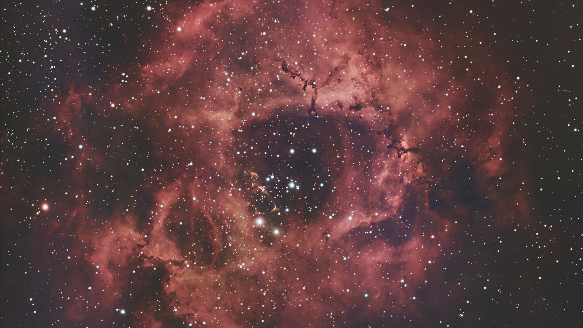 I spent a year with the $550 smart telescope that's shaking up the ...