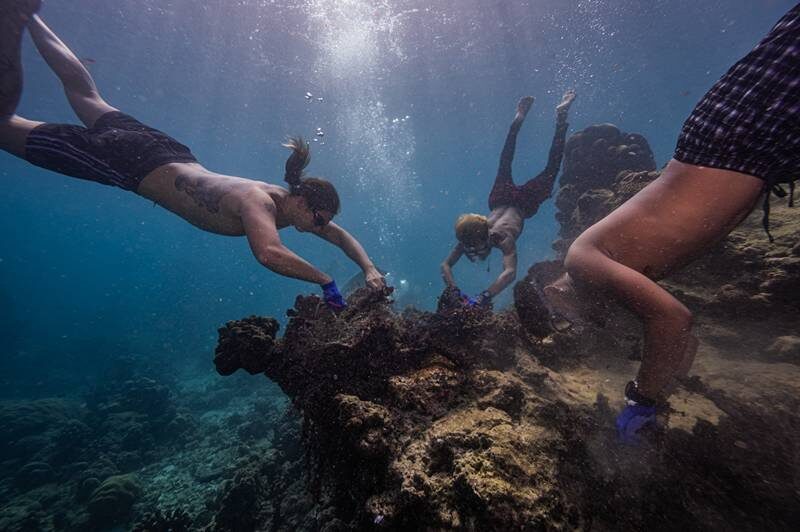 ภาพประกอบข่าว