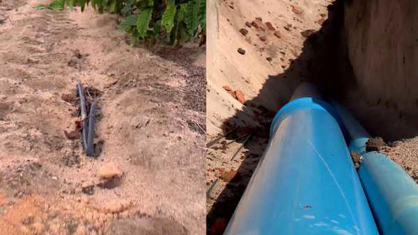 Agricultores de café e cana adotam irrigação subterrânea e melhoram produção e economizam água no ES