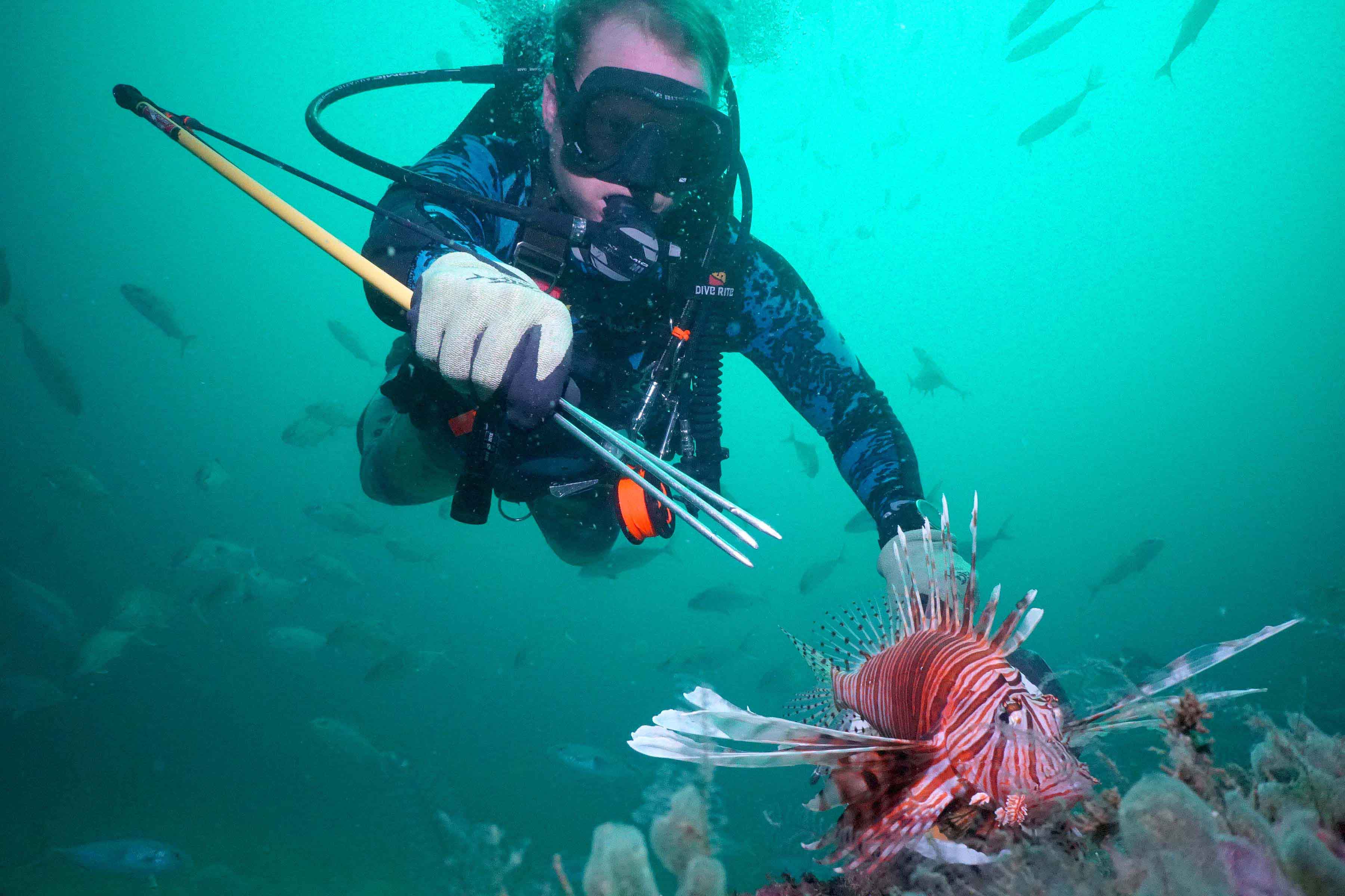 Officials asking for help in combating aquatic invasive species