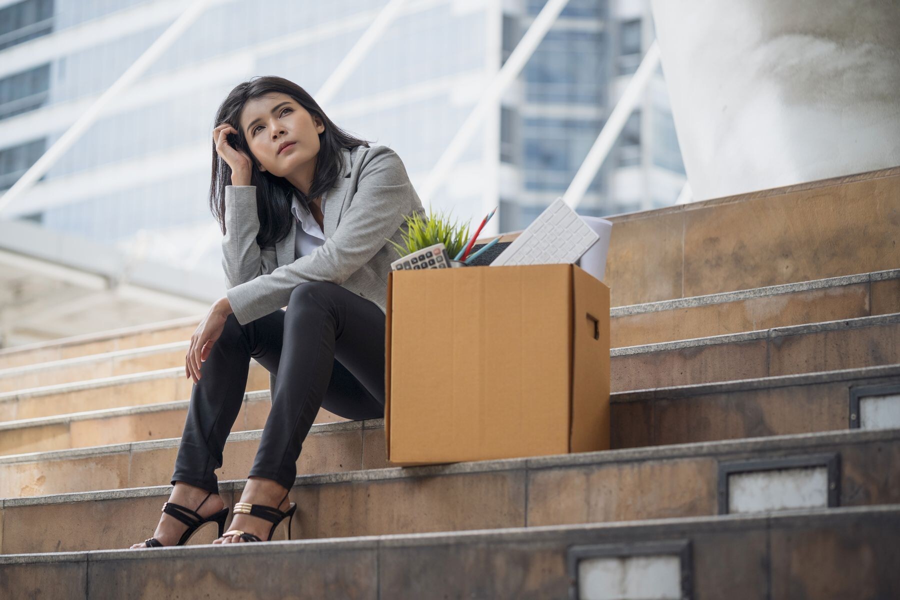 You Just Got Fired Now What