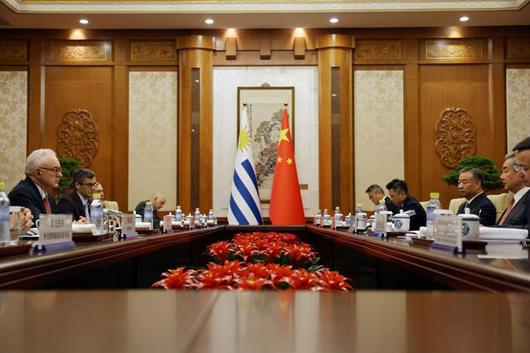 Chinese Foreign Minister Wang Yi and Uruguayan Foreign Minister Mario Lubetkin attend a meeting at the Diaoyutai State Guesthouse in Beijing, China May 12, 2025. REUTERS/Florence Lo/Pool