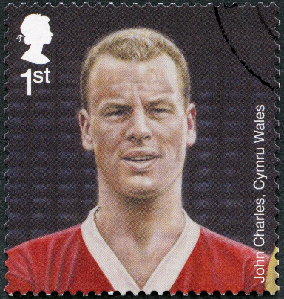 New Study: Your Dog Might Understand More Than You Think