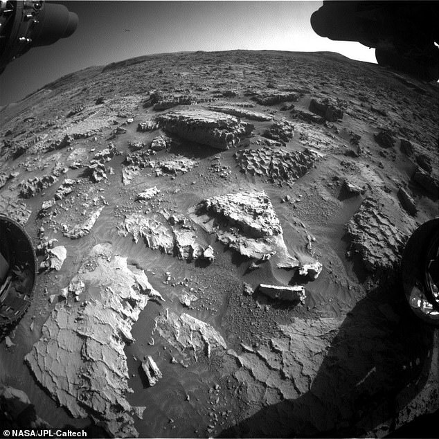 Scientists BAFFLED after discovering weird 'honey and waffle