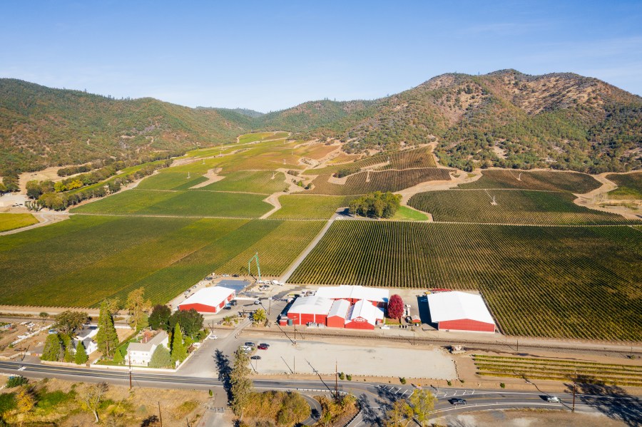'Distinct wines': USA Today names Oregon spot the best wine region in the country