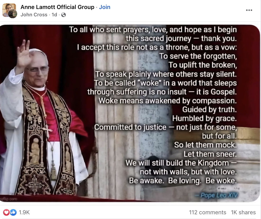 Pope Leo XIV didn't once urge people to 'be woke'