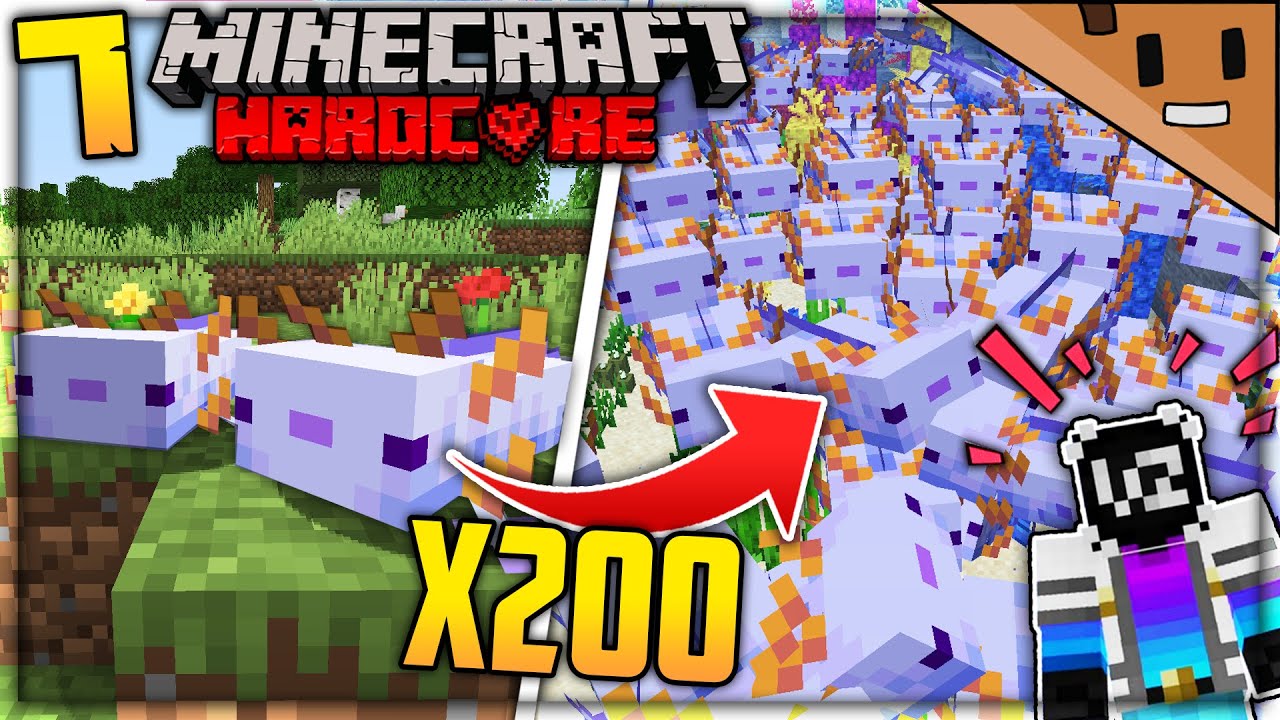 I found 200 of the rarest axolotl in Minecraft hardcore