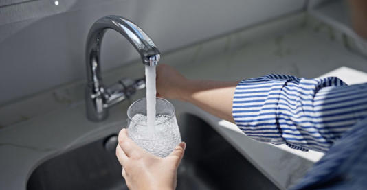 Krakenimages.com / Shutterstock