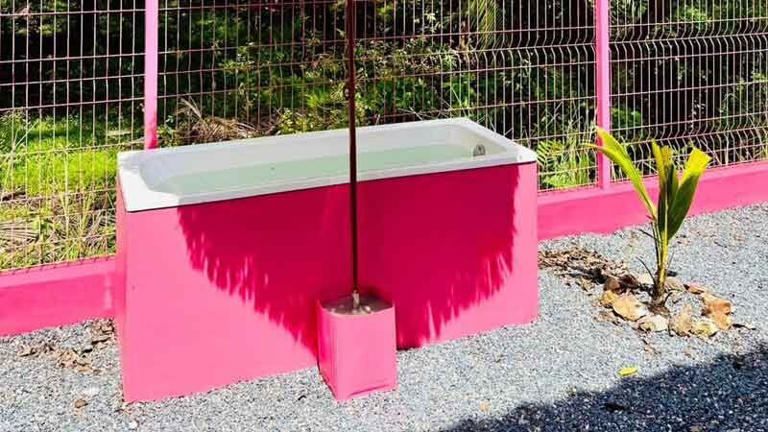 ภาพประกอบข่าว