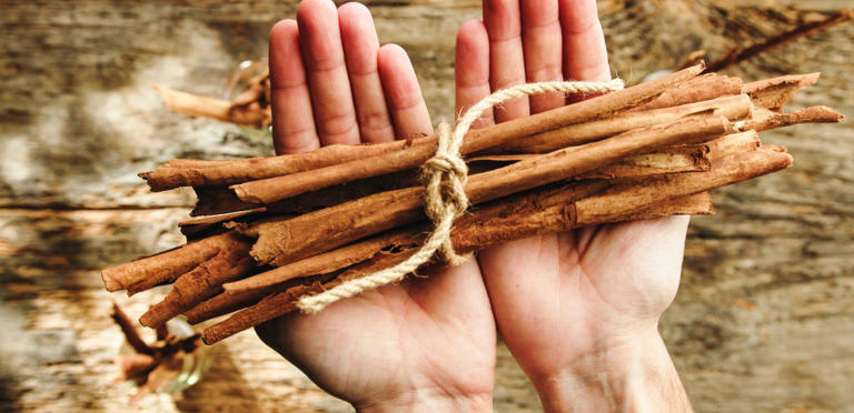 يستخدم على نطاق واسع