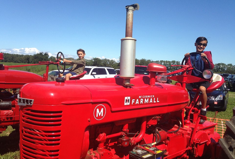 comic-expo-dino-exhibit-and-more-things-to-do-on-long-island-this