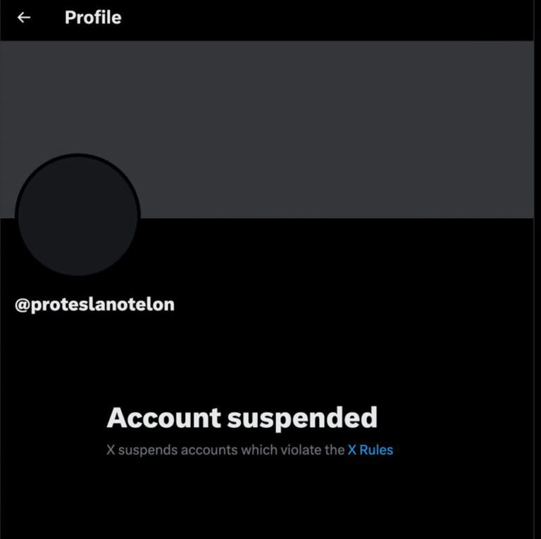 A X Account Was Also Created To Share The Letter, But It Was Suspended By The Platform, Which Is Owned By Musk, Who Calls Himself A “free Speech Absolutist.”