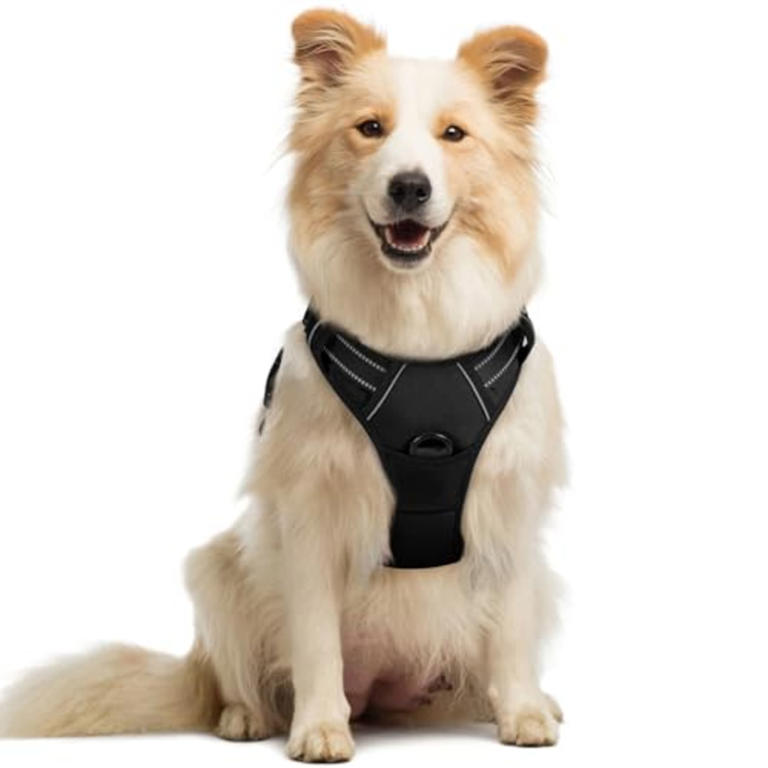 PSA: Amazon’s Pet Day sale is back with hundreds of dog and cat ...