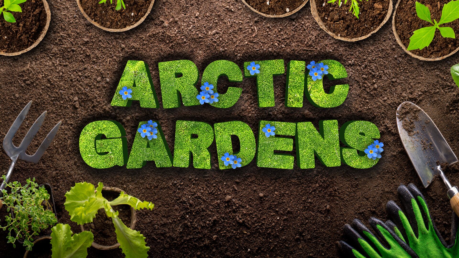 Arctic Gardens: Getting ready to go outside
