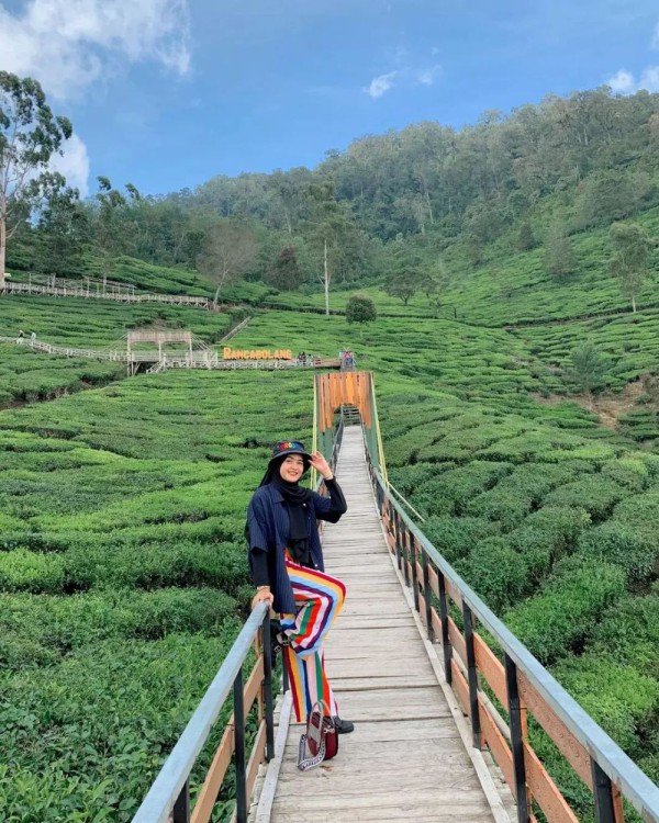 3 Destinasi Bukit Mempesona di Ciwidey yang Wajib Dikunjungi