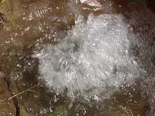 Crews searching for leak impacting homes