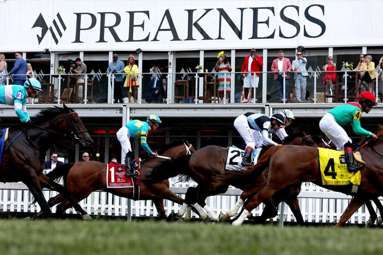 Why is Kentucky Derby winner Golden Tempo not running in the Preakness ...